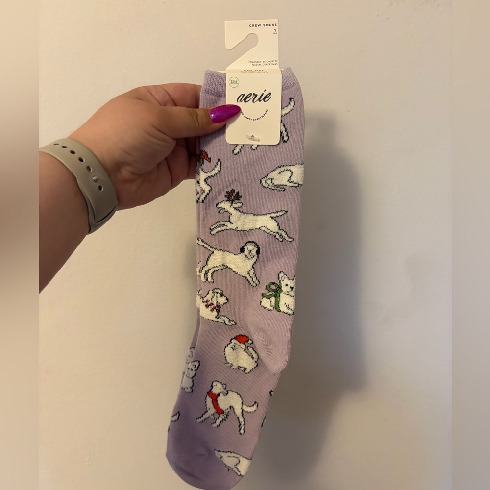 Brand New Aerie Socks
